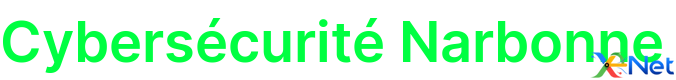 Cybersécurité Narbonne